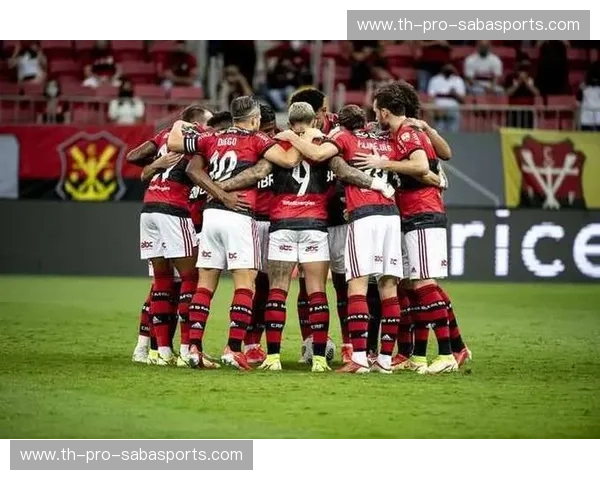 铁血之志对决豪门底蕴:拉瓦勒vs斯特拉斯堡,法兰西绿茵场的冰与火之歌