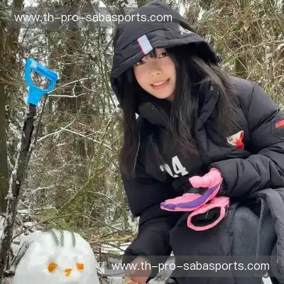 晏清飚